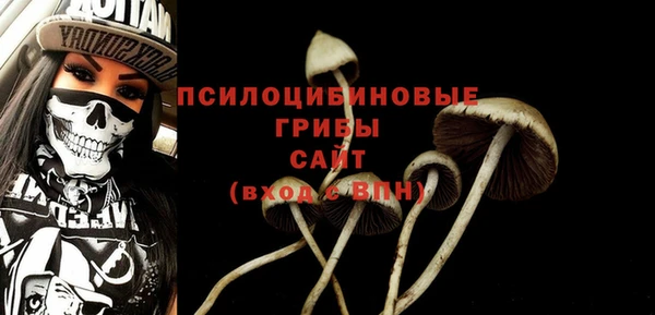 спайс Бородино