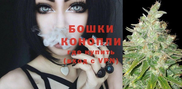 спайс Бородино