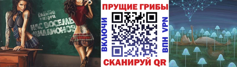 Галлюциногенные грибы ЛСД  Купить  Суровикино 