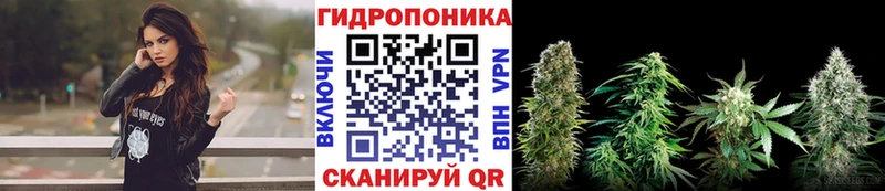 Марихуана AK-47  Купить где  Суровикино 